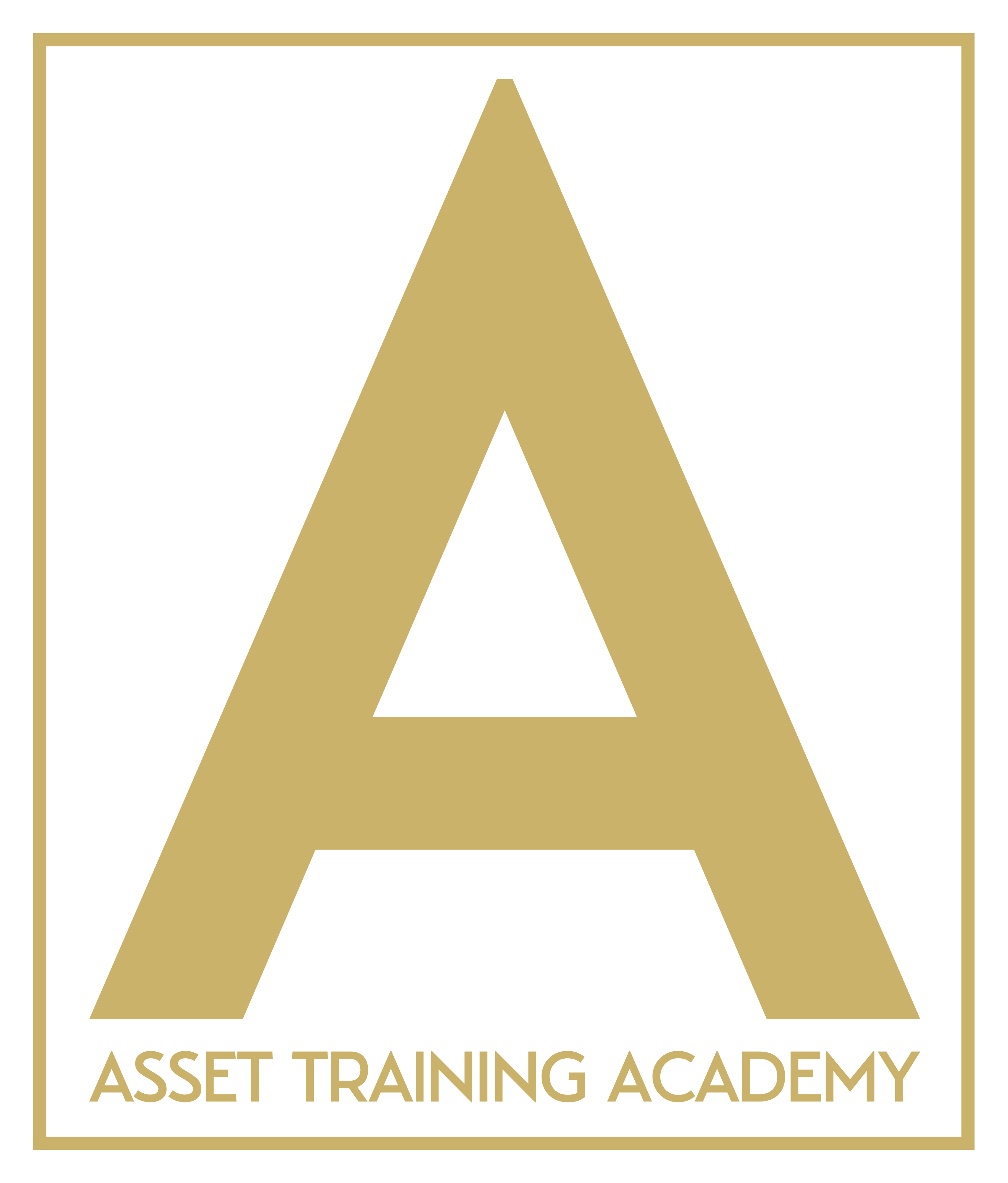 Asset Training Academy logo
